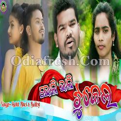 Bholi Bhali Tukel - Sambalpuri Romantic Sad Song